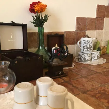 Palazzo Costantini Ludovica Appartement